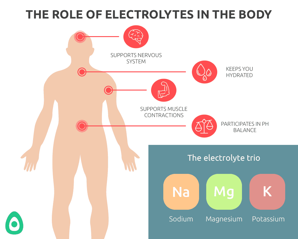 everything-you-need-to-know-about-hydration