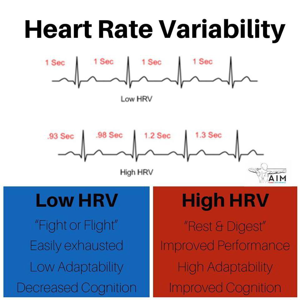 hrv-what-is-it-and-is-it-of-any-use