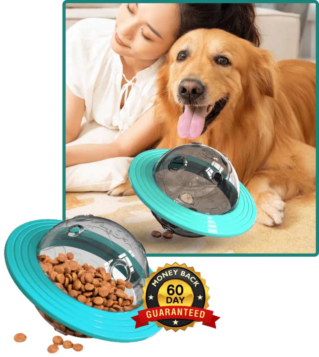 Premium Puzzle Paws Treats Toy