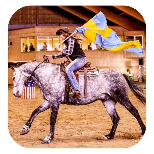 Hästträning & Ridlektioner i Tiveden – CM Ranch Tiveden
