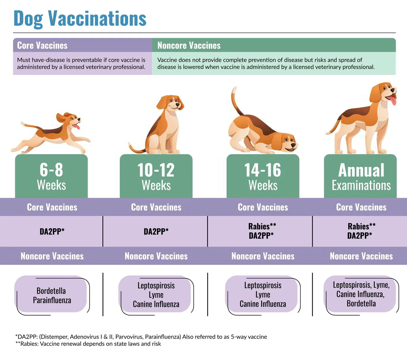 Vaccine Schedules vaccine-schedules