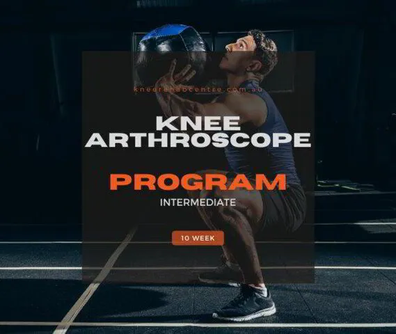 Knee Arthroscope Program