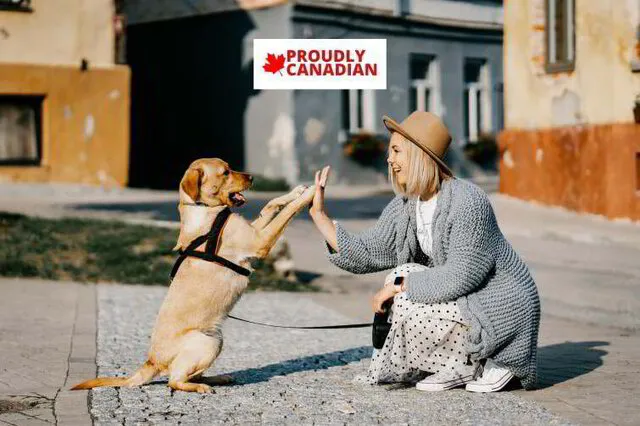 Rock star pets Ontario canada