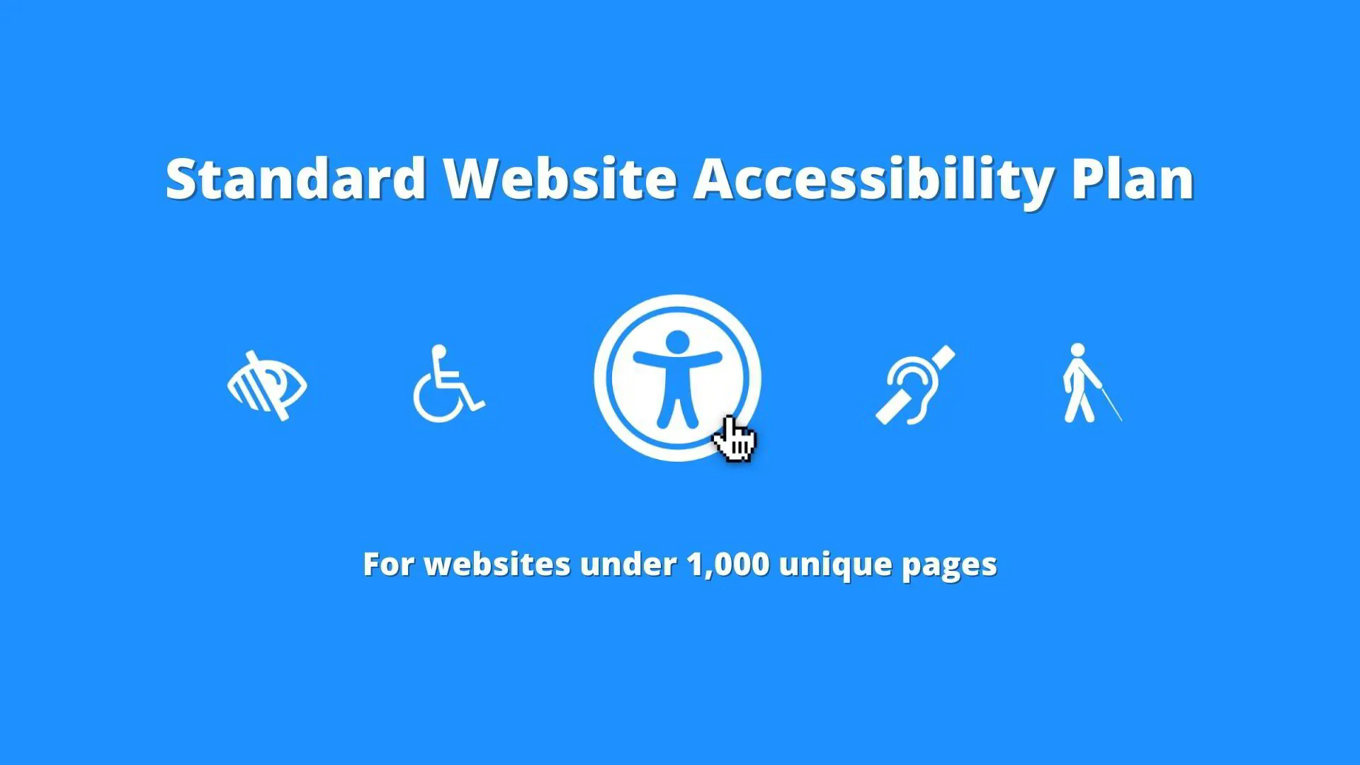 Standard Website Accessibility Plan