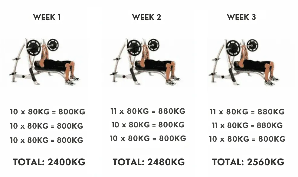 Exercise Programming Templates For Personal Trainers