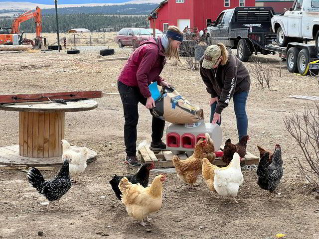 The Rocking Tree Farm | Urban Farm | Helena, MT | Volunteer