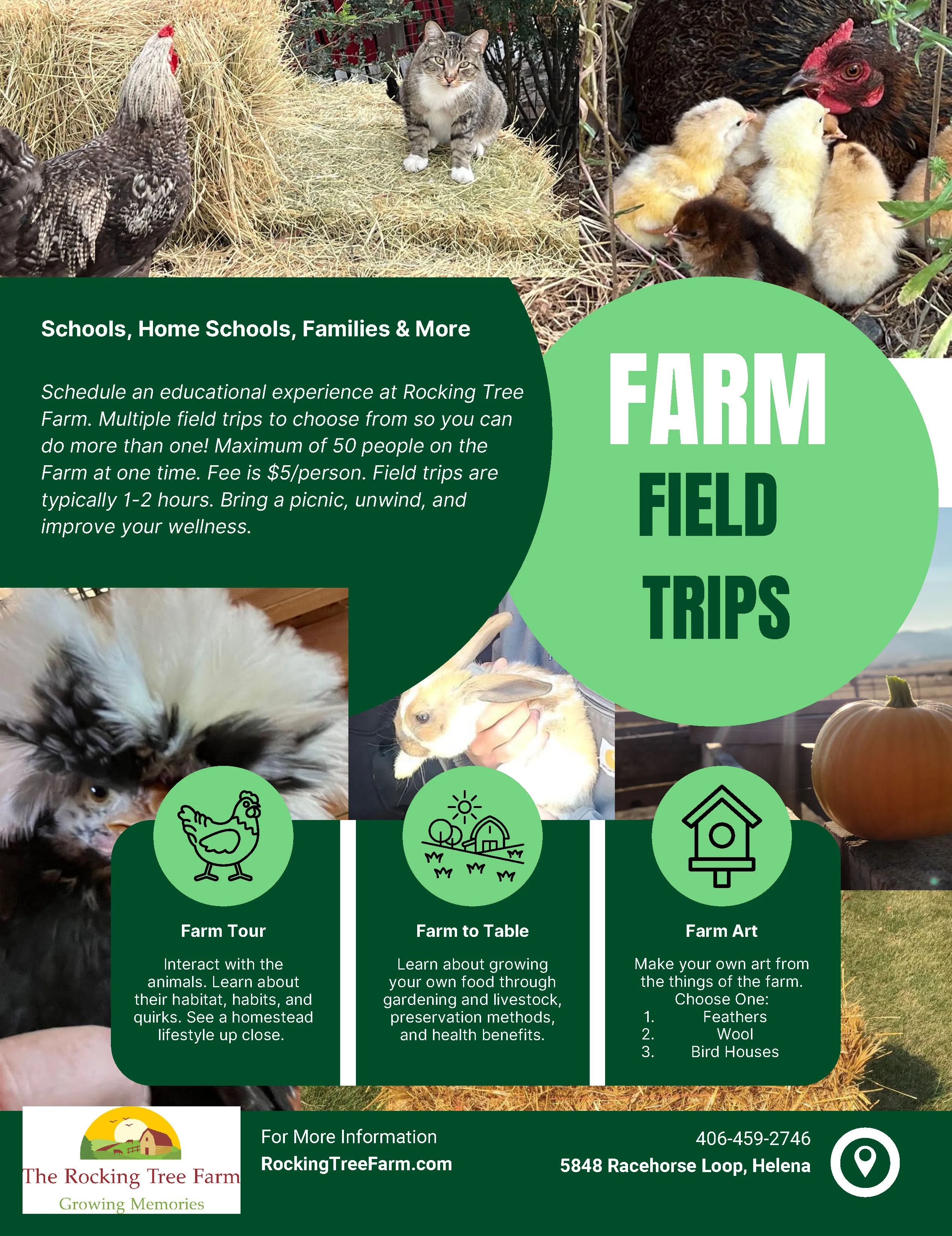 Farm Field Trips