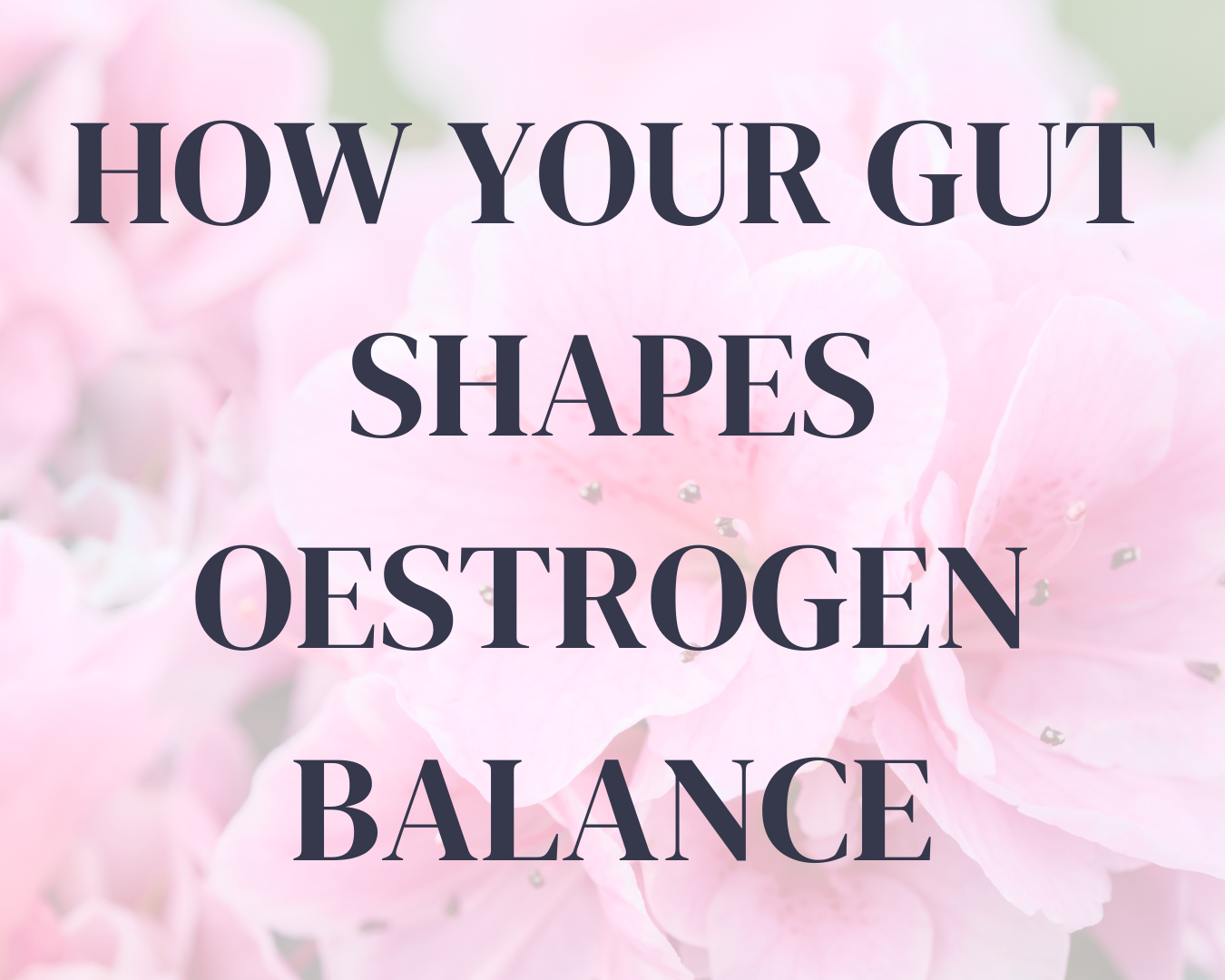 How Your Gut Health Shapes Oestrogen Balance