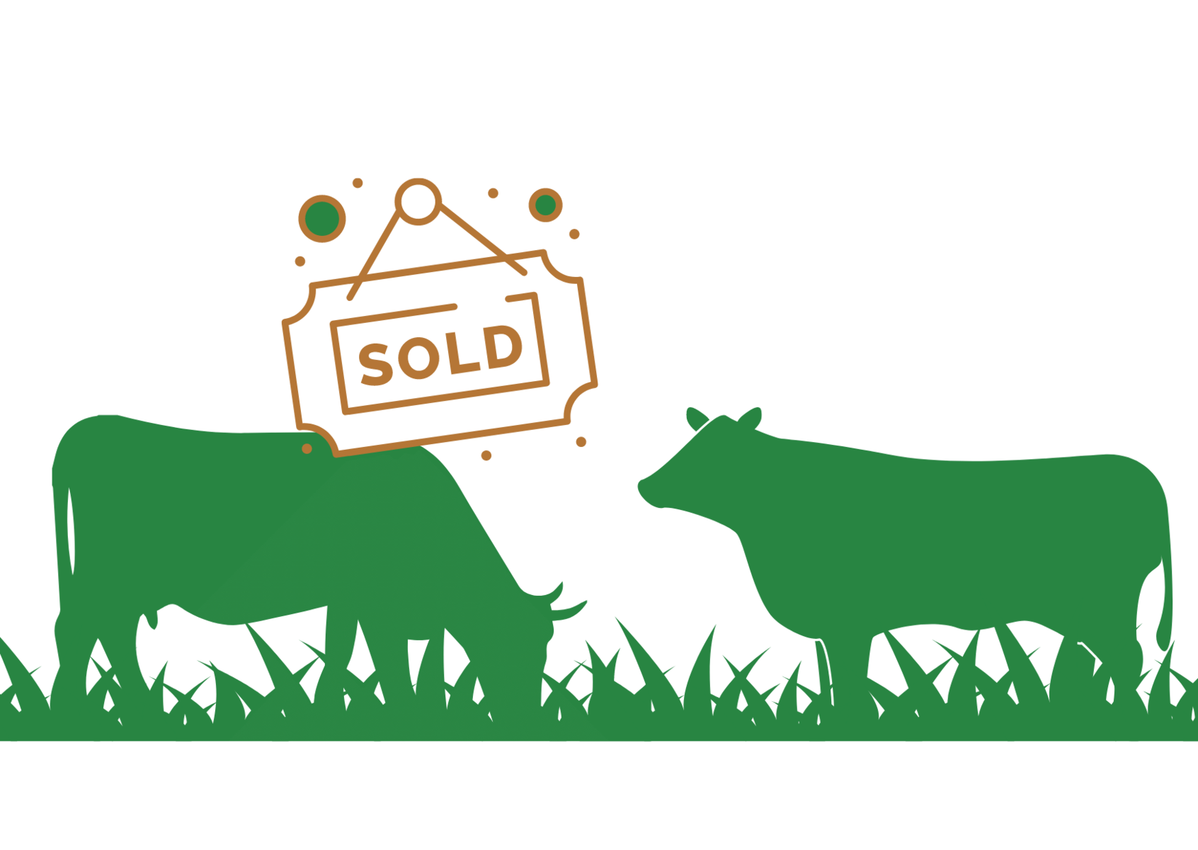 Beesmark We Buy and Sell Cattle And Only Cattle