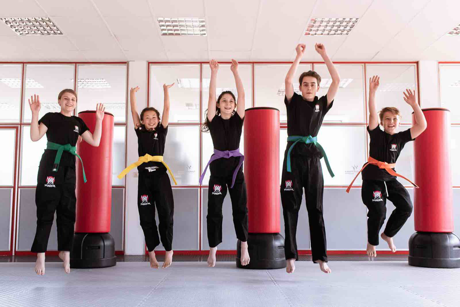 Kinderkarate in deiner Nähe Karate Geiger für Kinder 1015 Jahre