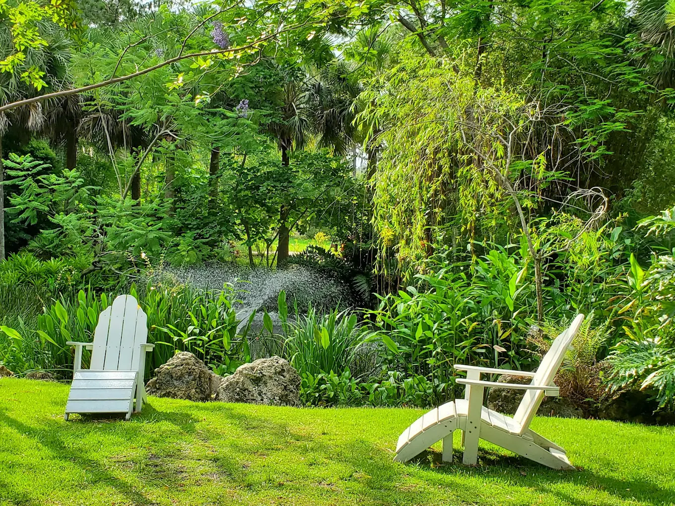 Botanical Source Things to Do Near Indian Shores | Top Beaches, Attractions & Events ...