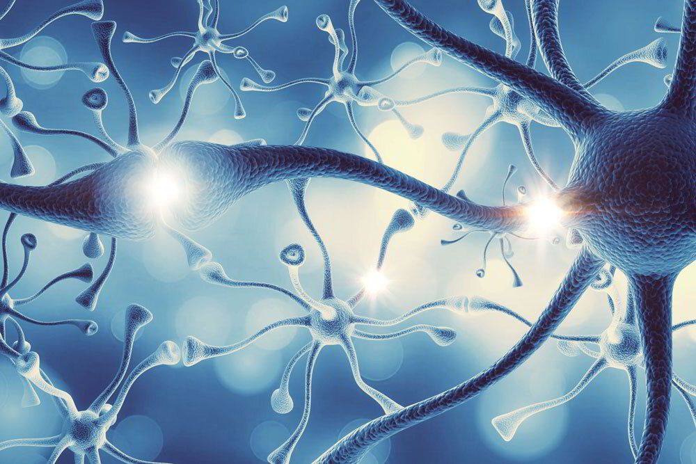 Wenn Das Vegetative Nervensystem Verrückt Spielt Wenn das vegetative Nervensystem verrückt spielt, hilft dies!