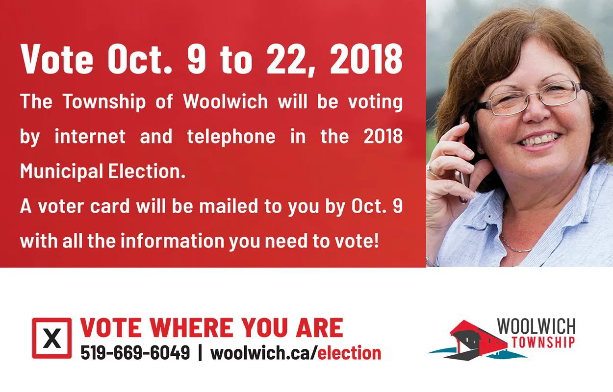 Online and telephone voting for 2018 election