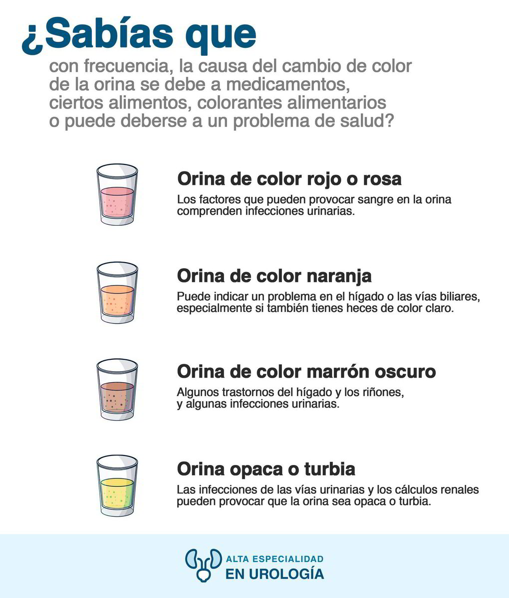 Tipos De Color De Orina Y Su Significado