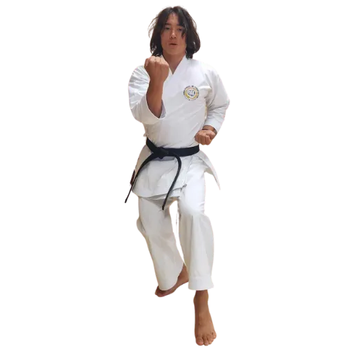 Traditional Karate for Family Bonding, karate, martial arts, children activities, family fun, focus and self-control, memory skills, friends and mentorship programs, culture, Japan, socialization