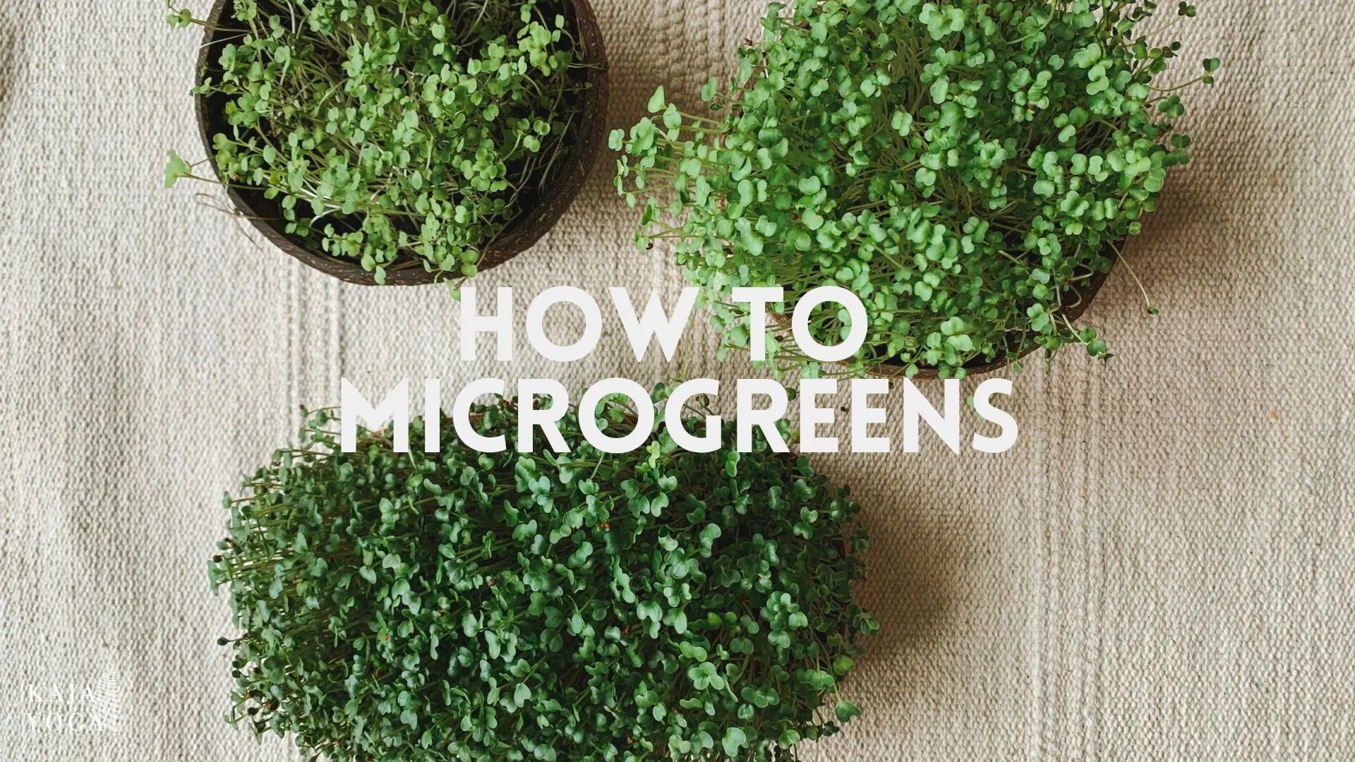How-To Microgreens