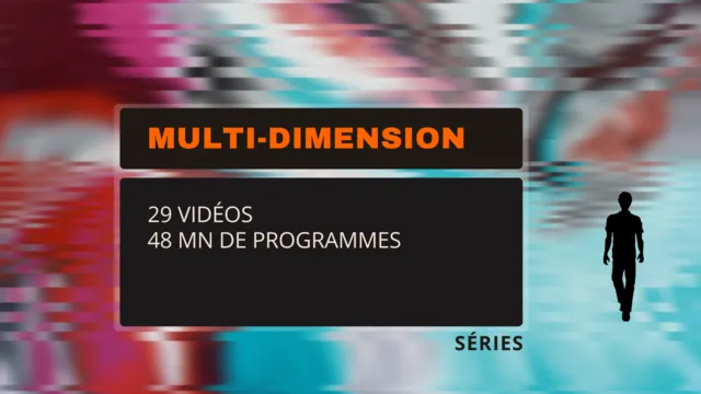 Multi-dimension - Franck Lopvet