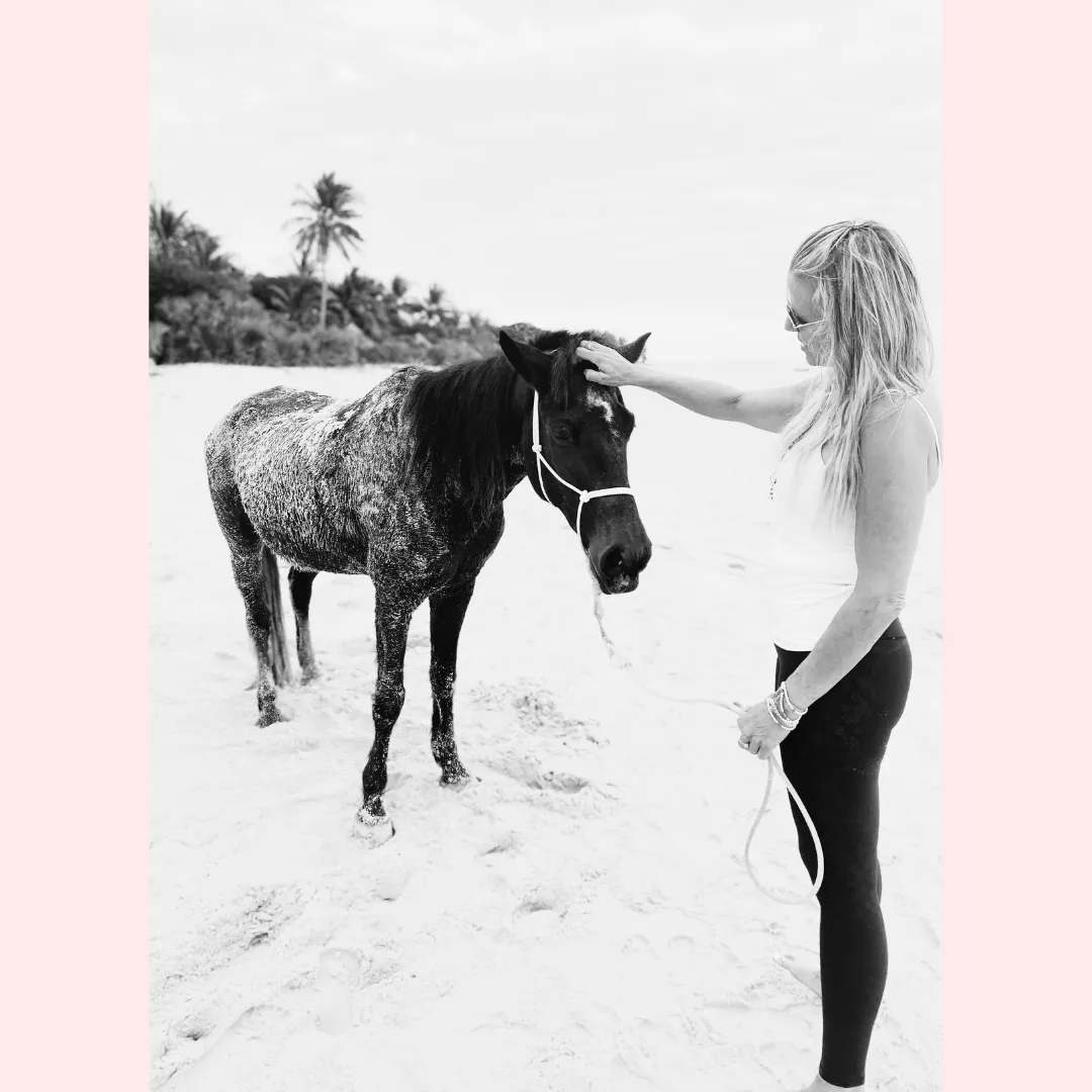 petting a horse in 2023 on the sands of  Benguerra Island, Mozambique Africa