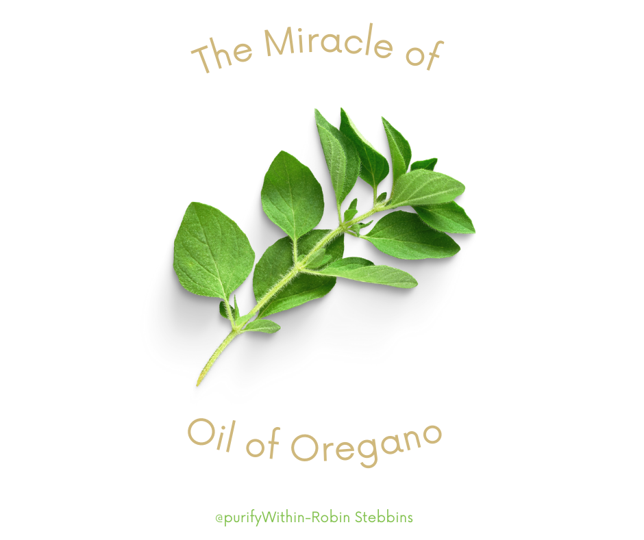 The Miracle of Oil of Oregano