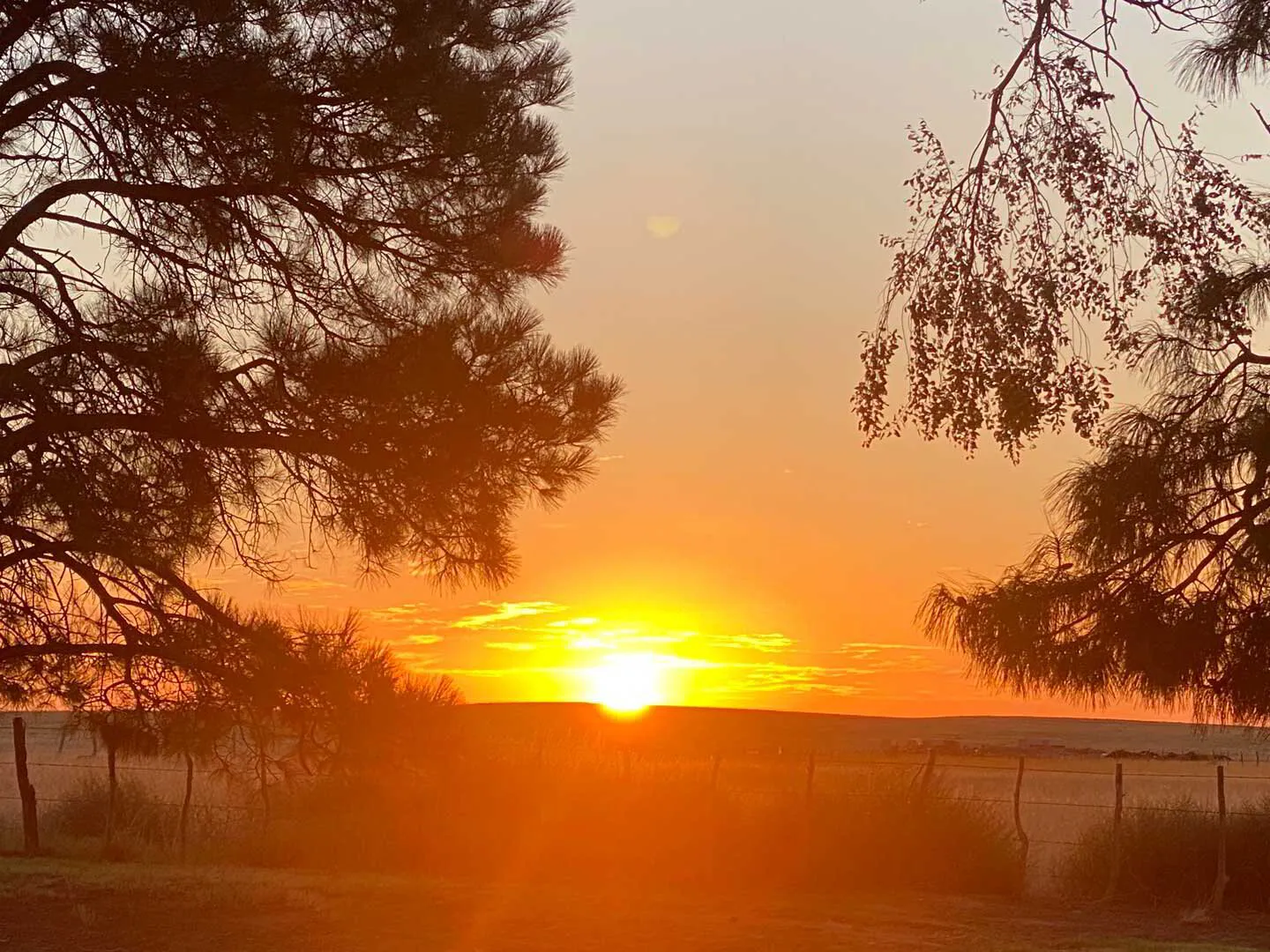 The Land of Enchantment