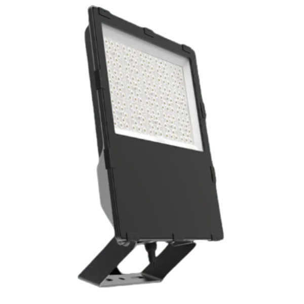 Reflector LED Profesional 300W - DXPRO