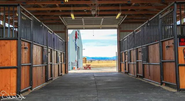 Indoor Matted Stalls