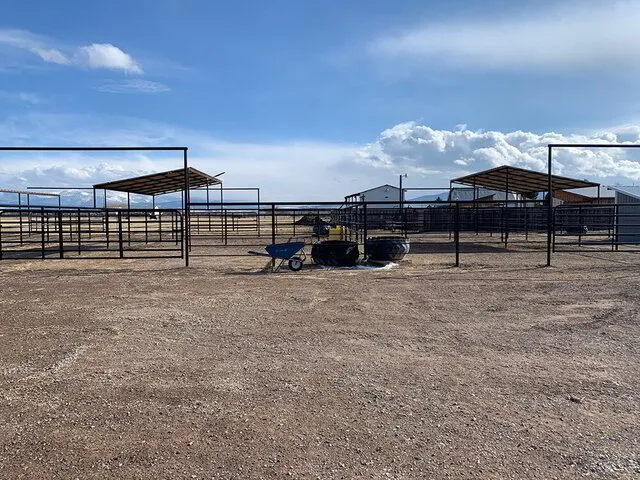 Outdoor Pens