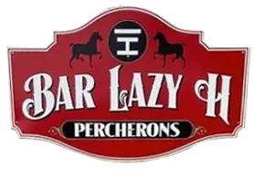 Bar Lazy H Horse Hotel