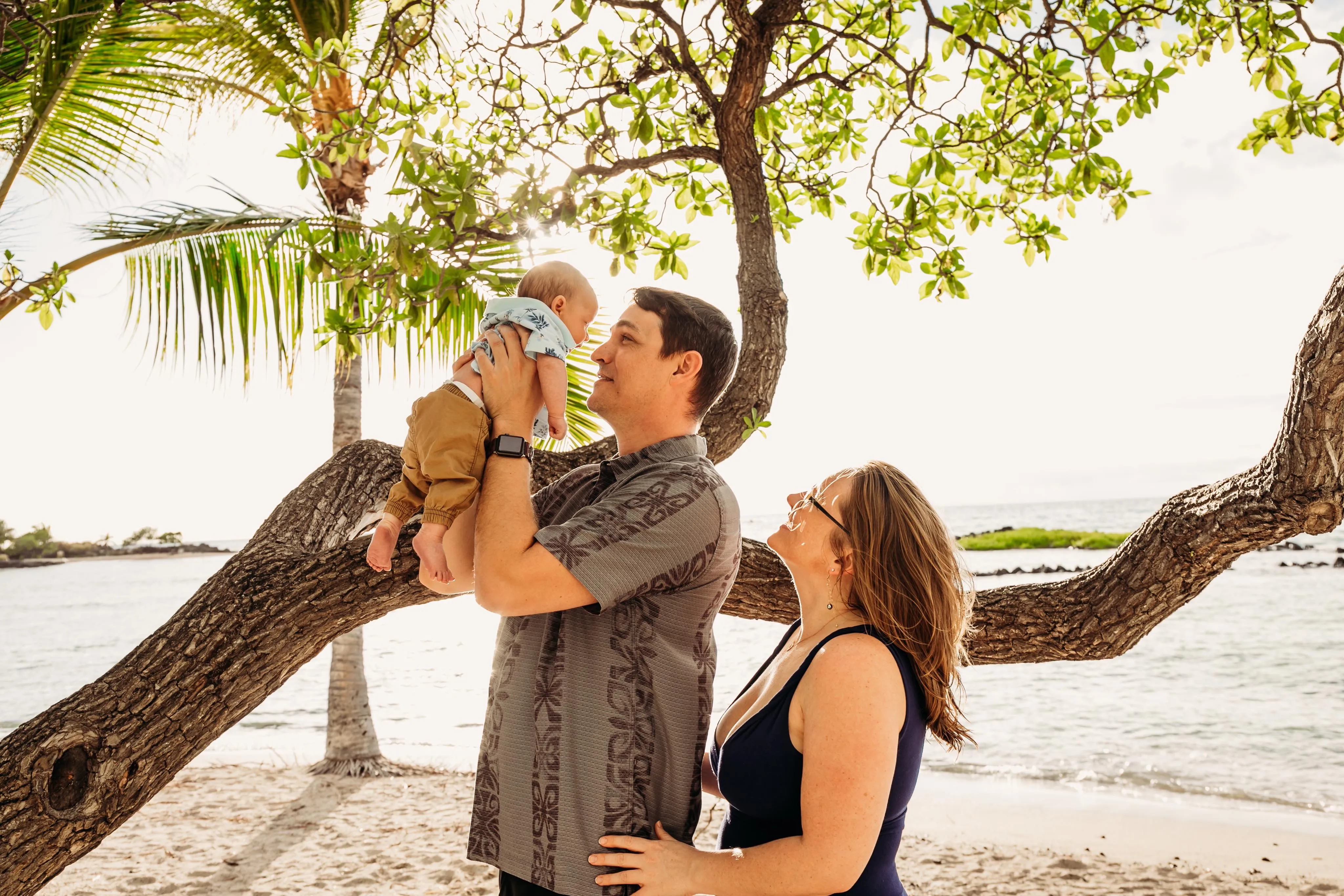 Hawaii Lifted Jeep Rentals Car Rentals Kona (Big Island)