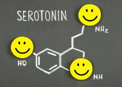 LA SEROTONINE : C'EST QUOI ET À QUOI CELA SERT