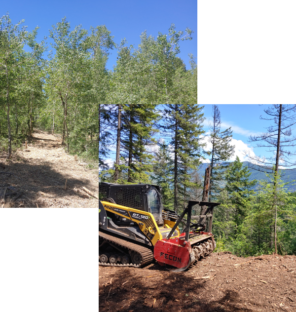 Forestry and Excavation Services in Helena MT