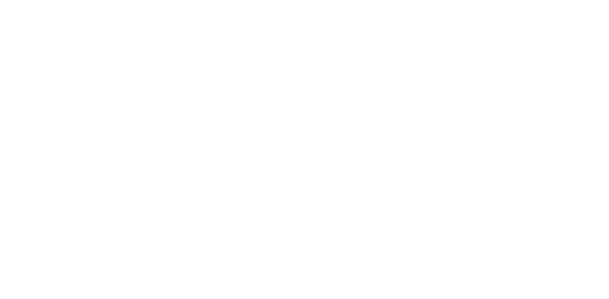 LUXE PROFESSIONAL