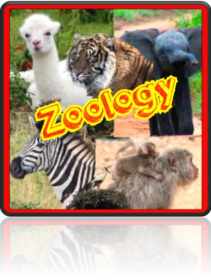 Zoology wildlife Science Club for Kids Elementary age. learning nature