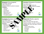 Essential Oil Profile Study Cards Cheat Sheets