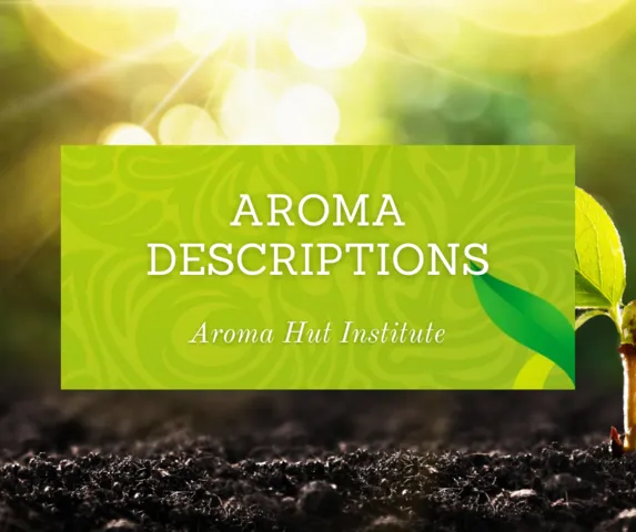 Aromatherapy Descriptions | Aroma Hut Institute