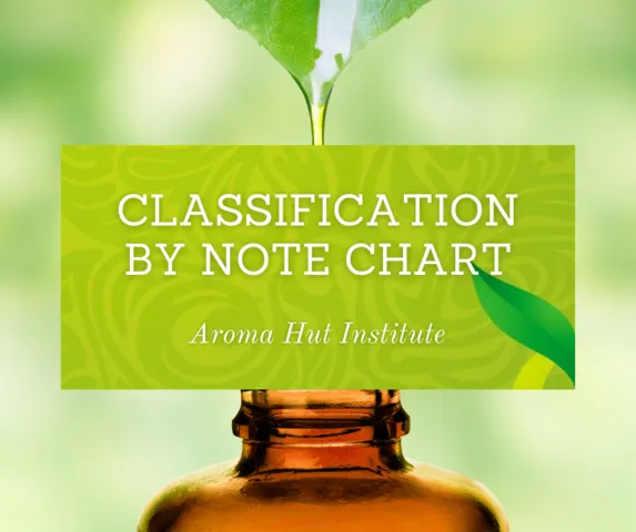 Classification By Note Chart | Aroma Hut Insitute