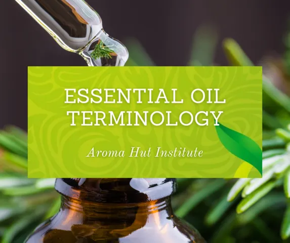 Essential Oil Terminology | Aroma Hut Institute