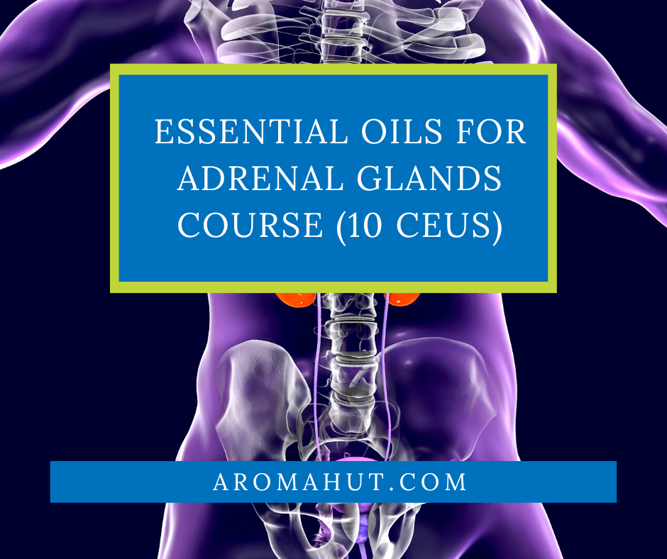 Essential Oils for Adrenal Glands Online Course Aroma Hut Institute