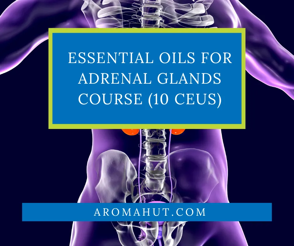 Essential Oils for Adrenal Glands Online 10 CEUS [COURSE]