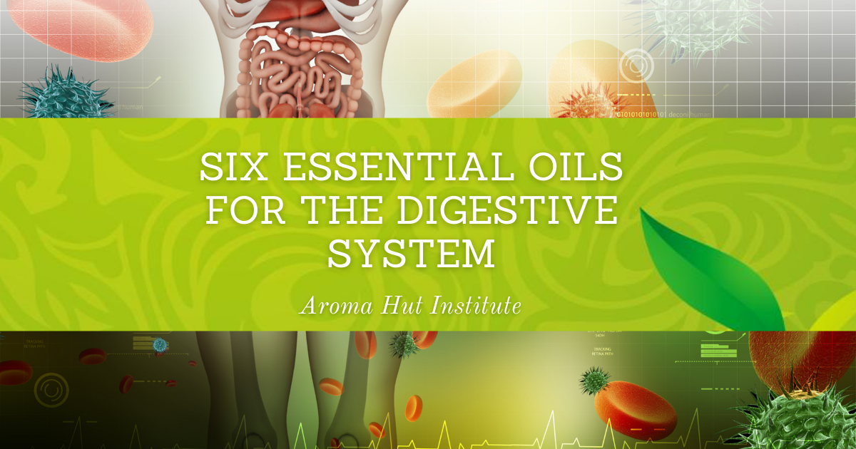 Six Essential Oils For The Digestive System