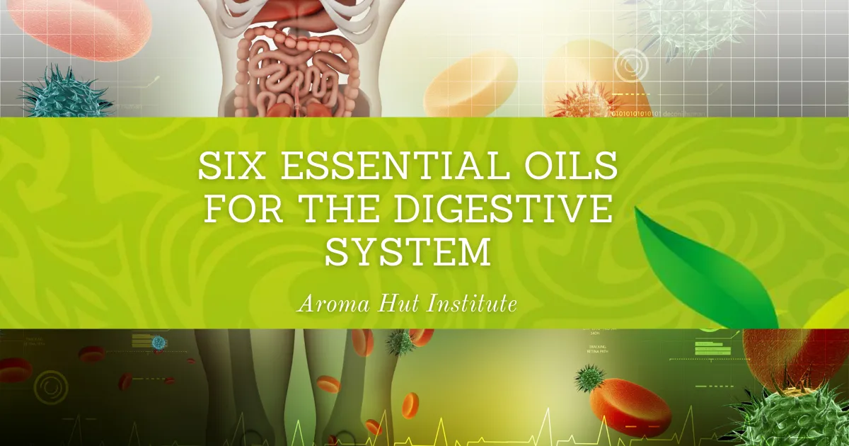 Six Essential Oils For The Digestive System
