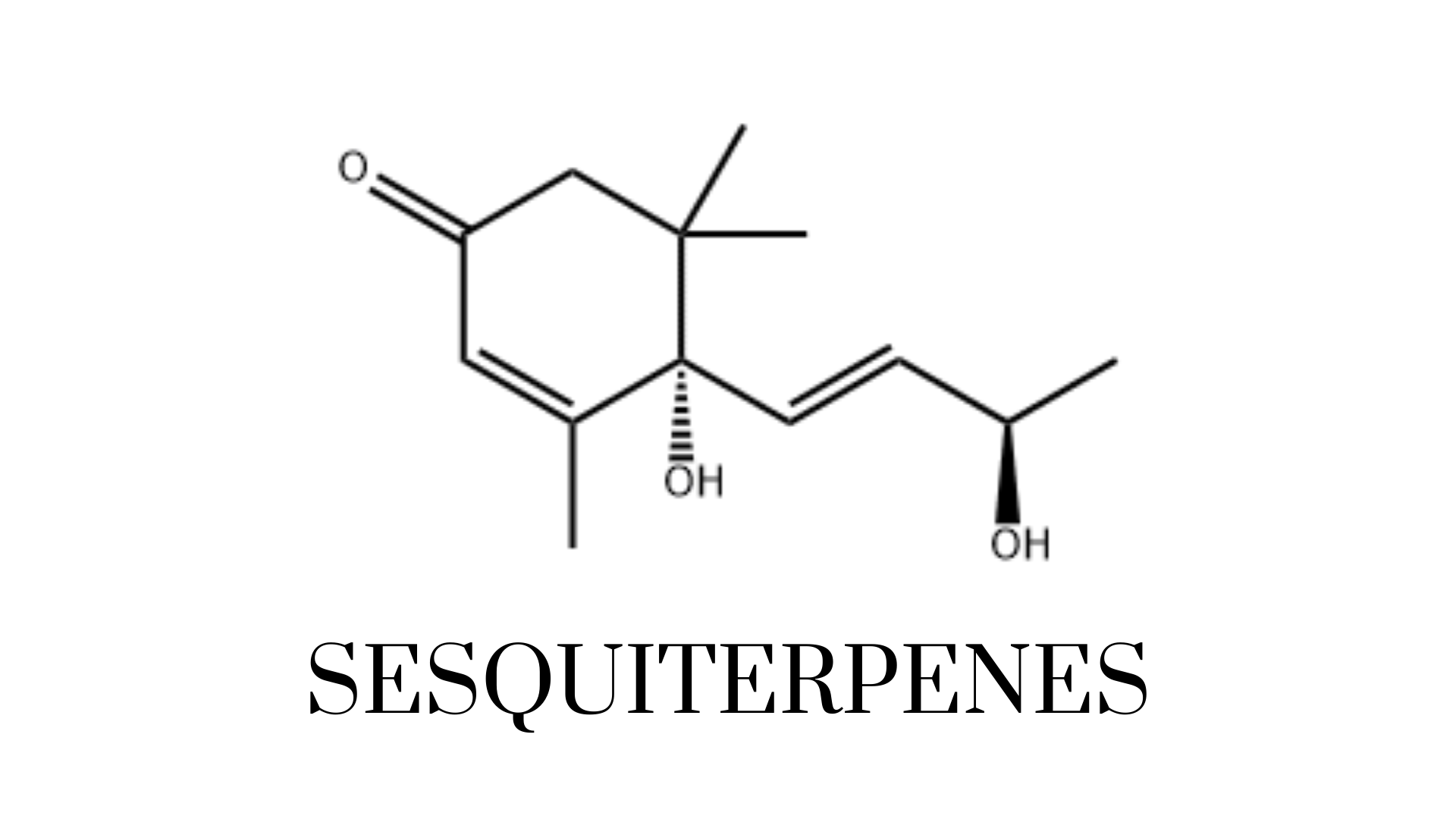 Essential Oil Datasheets & Monographs