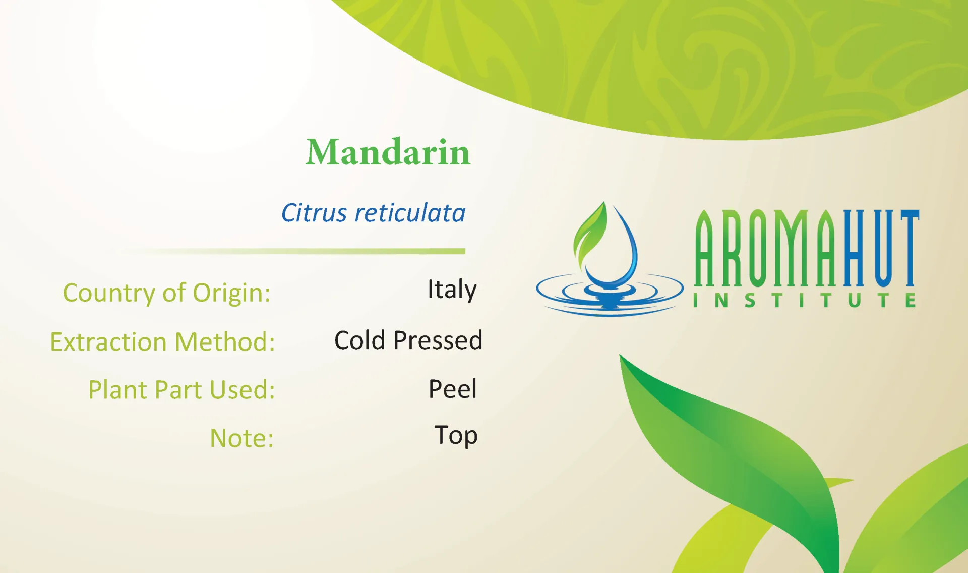 Mandarin Essential Oil | Aroma Hut Institute