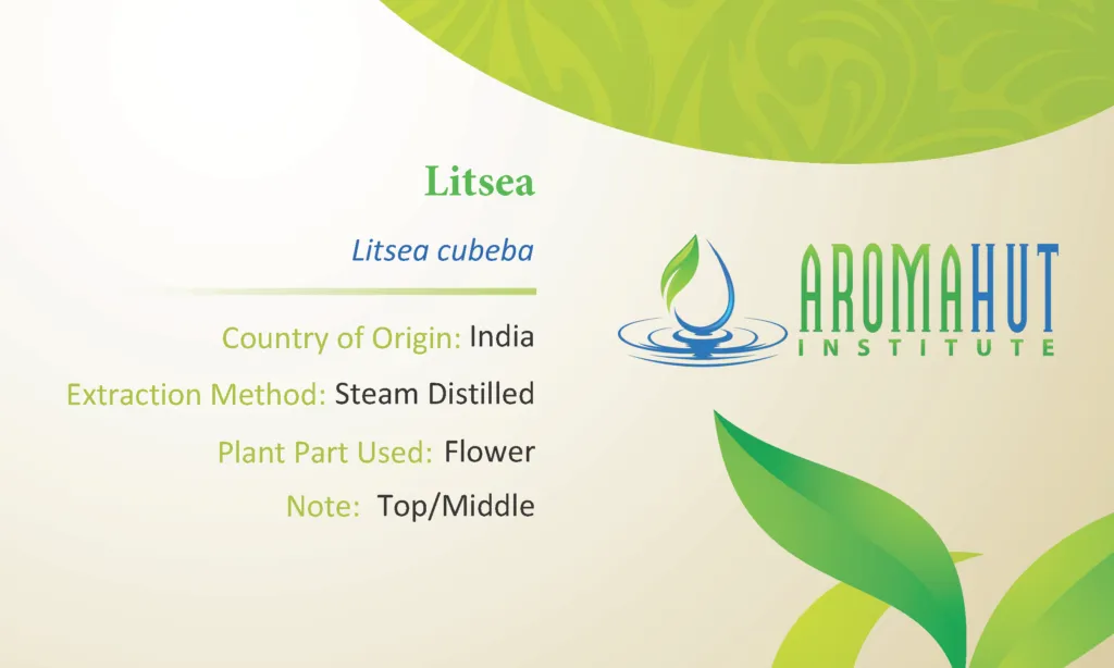 Litsea Essential Oil | Aroma Hut Instiute