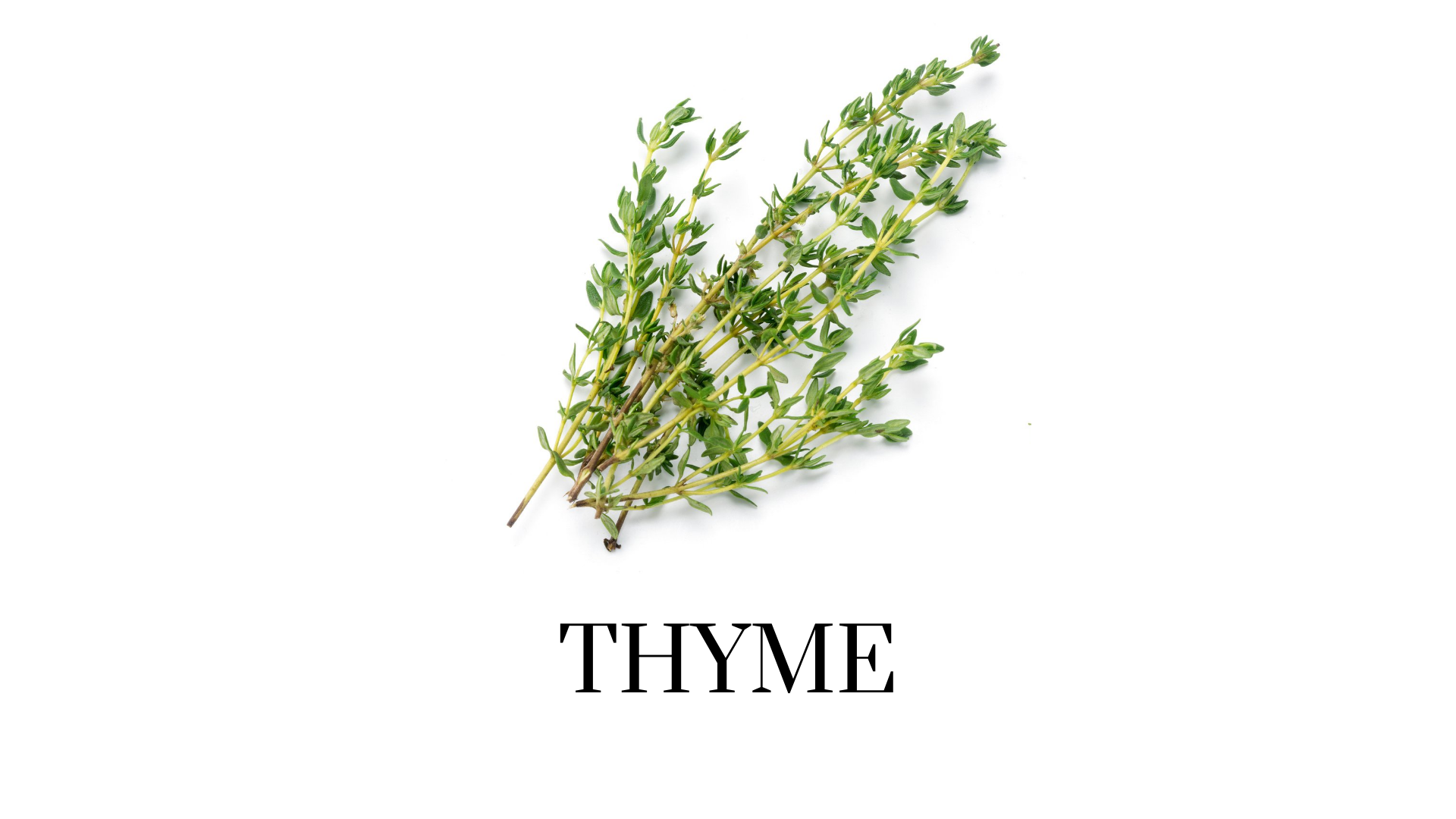 Essential Oil Datasheets & Monographs