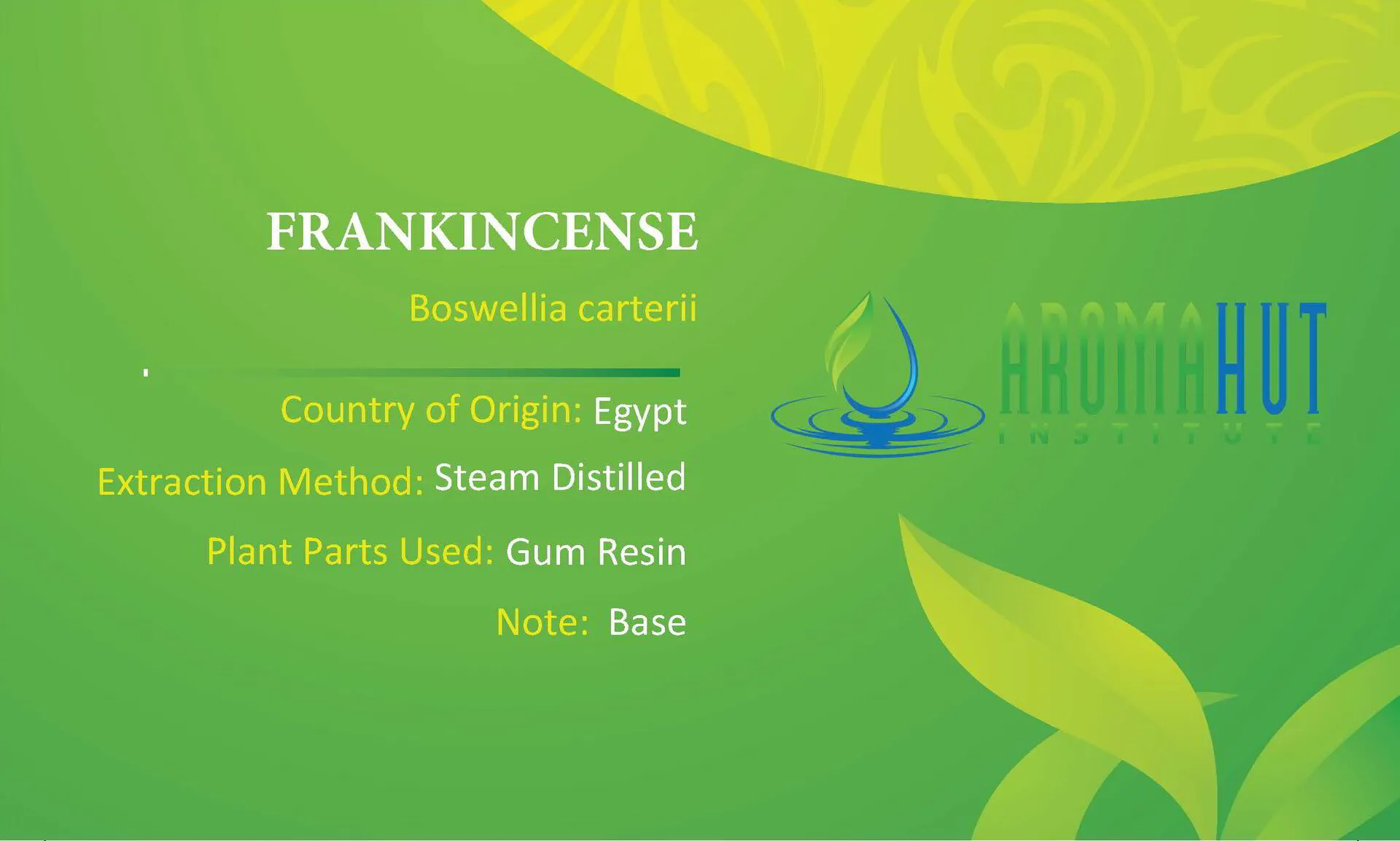 Frankincense Essential Oil | Aroma Hut Institute