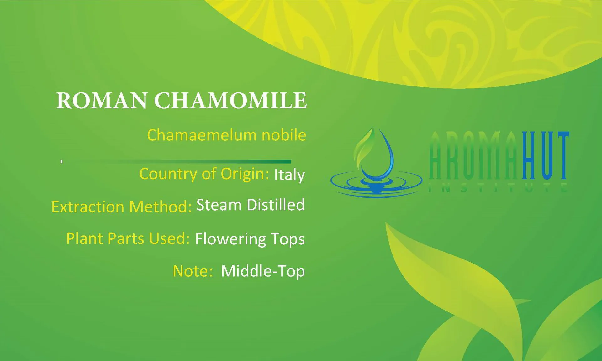 Roman Chamomile Essential Oil | Aroma Hut Institute