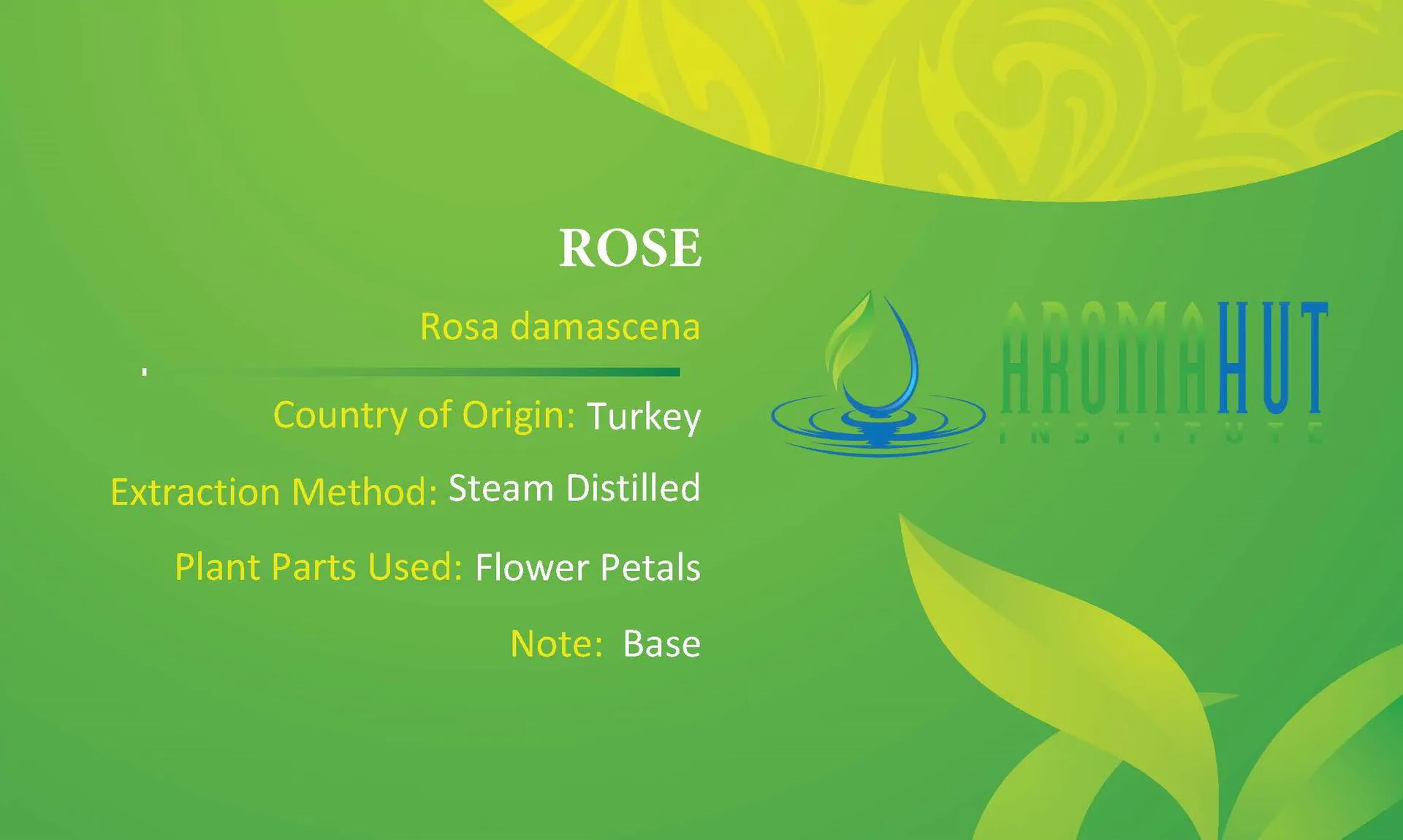 Rose Essential Oil | Aroma Hut Institute