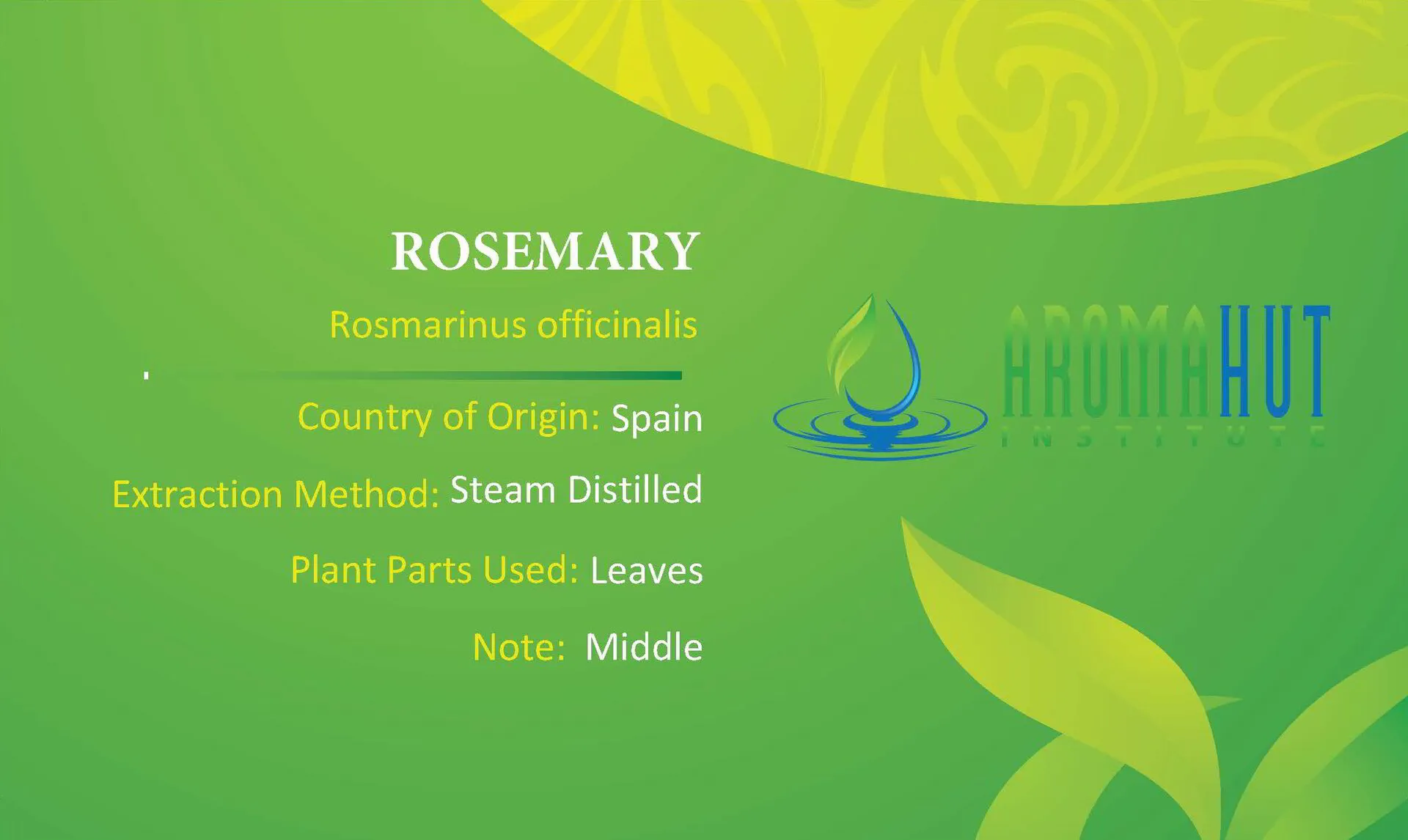 Rosemary Essential Oil | Aroma Hut Institute