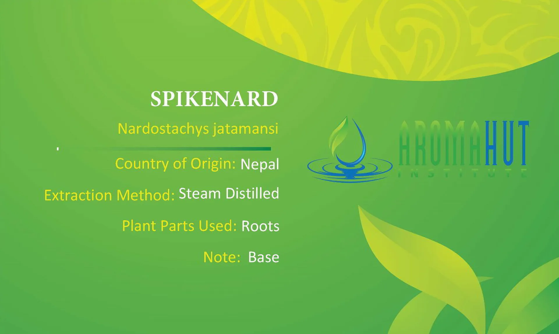 Spikenard Essential Oil | Aroma Hut Institute